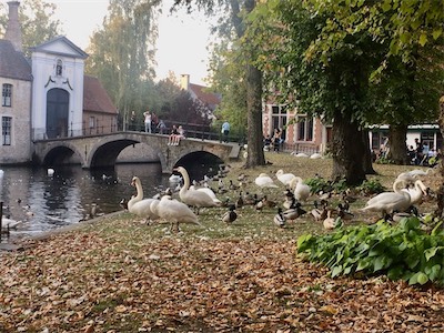 belgie-14.jpg