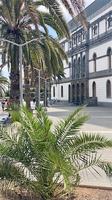 gran-canaria-24.jpg